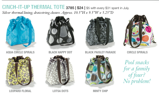 Million Dream Mom: 31 Uses For Thirty-One Gift's Cinch-It-Up Thermal Tote